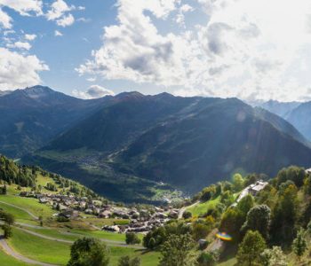 view in summertime