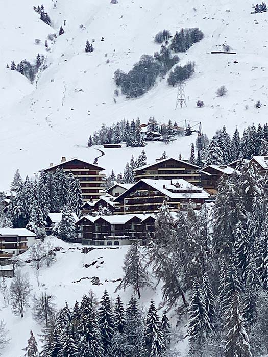 Chalet Vetera view through the trees on snowy day
