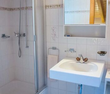 Shower room at Chalet Vetera